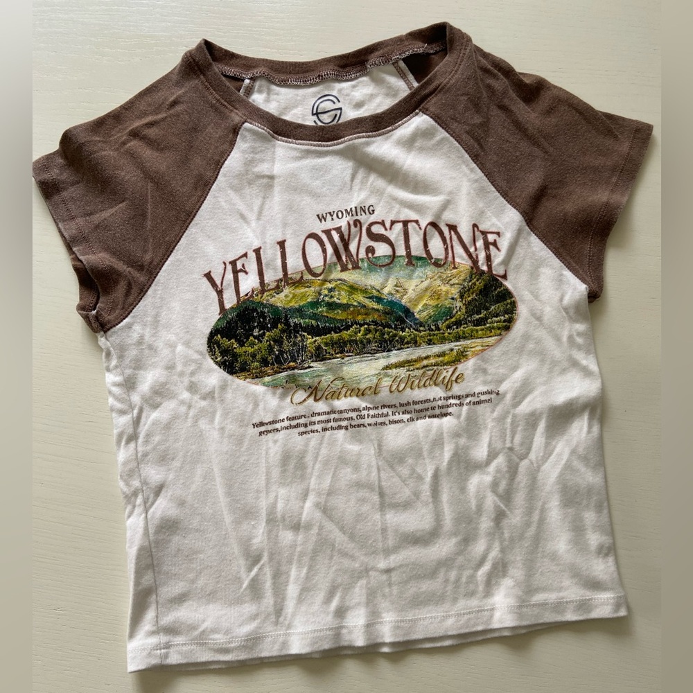 Cropped Baby Tee